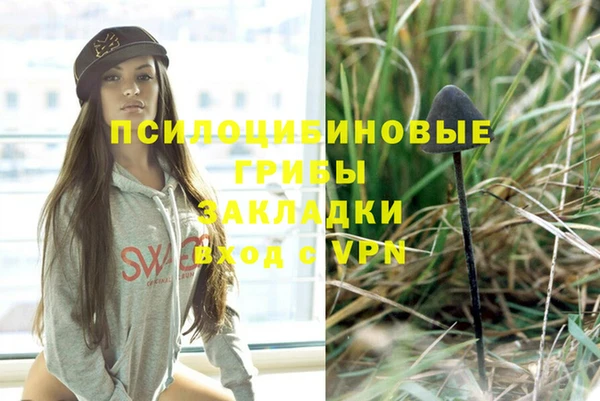 гидропоника Заводоуковск